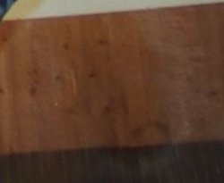 1997: Eine verrückte Familie