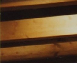 1997: Eine verrückte Familie